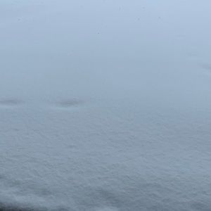 Meet your Posher, Alisandra